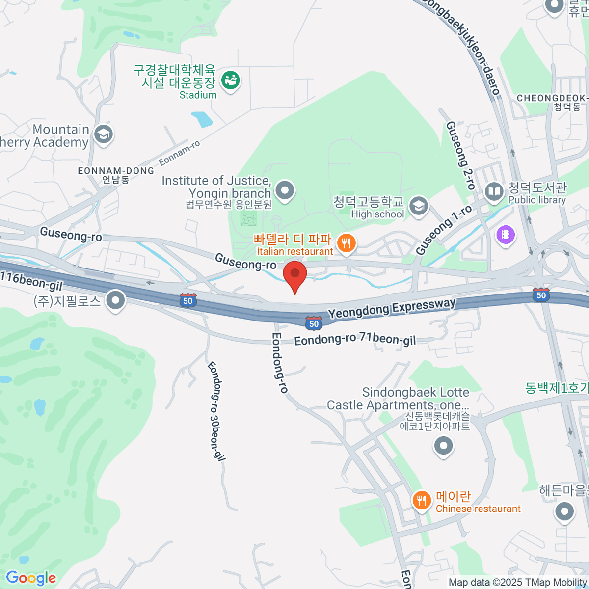 google-map-placeholder-image