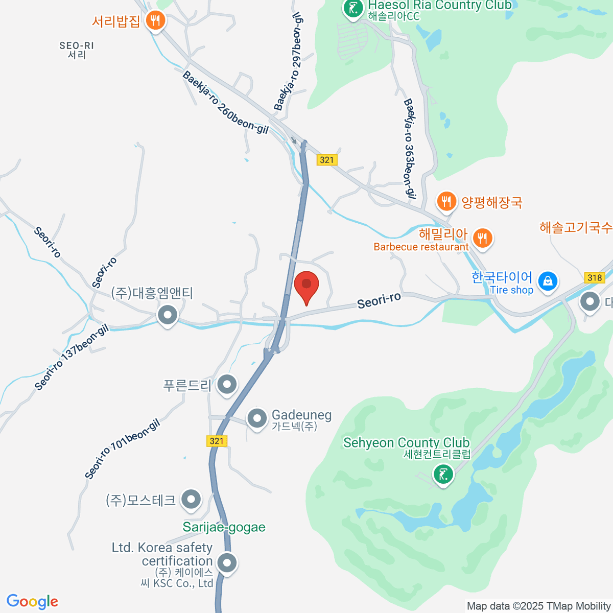 google-map-placeholder-image