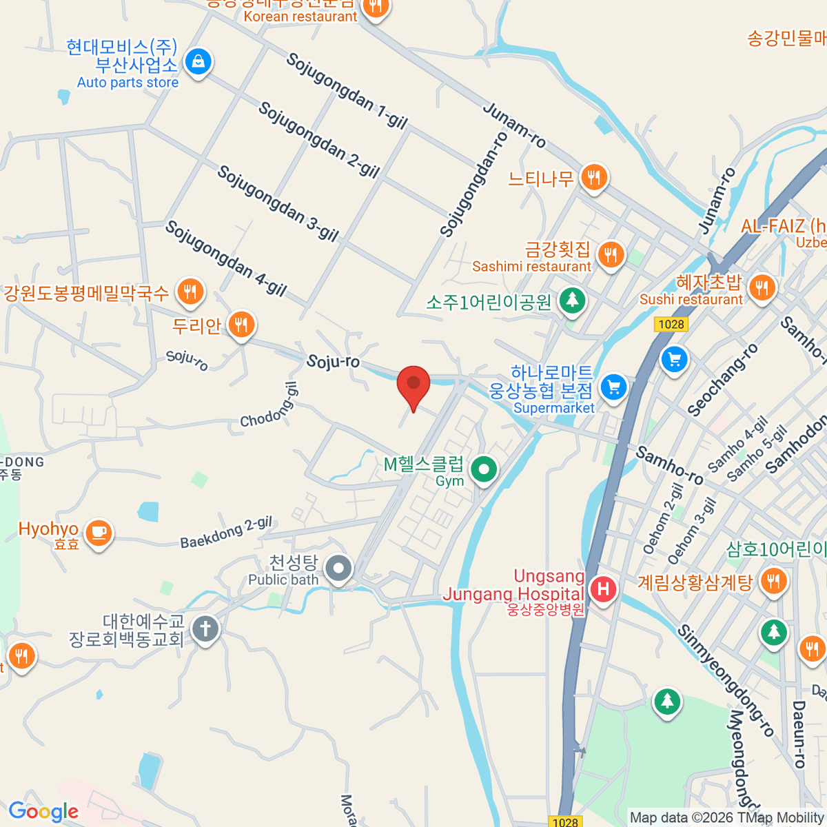 google-map-placeholder-image