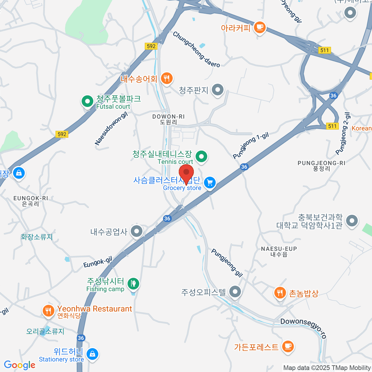 google-map-placeholder-image