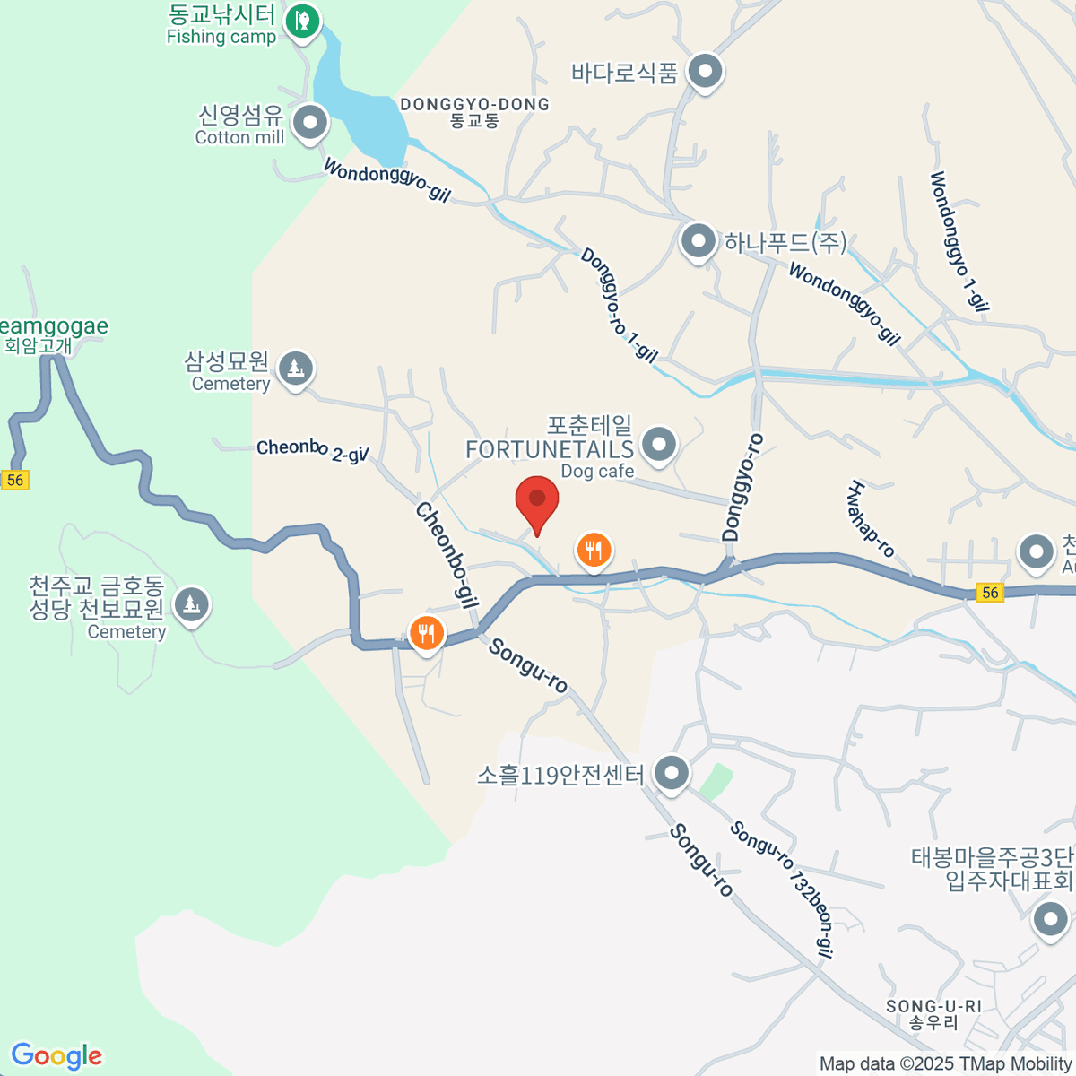 google-map-placeholder-image