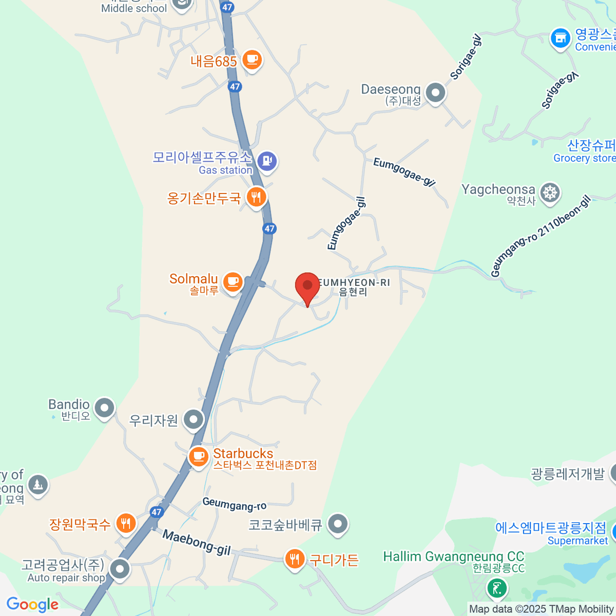 google-map-placeholder-image