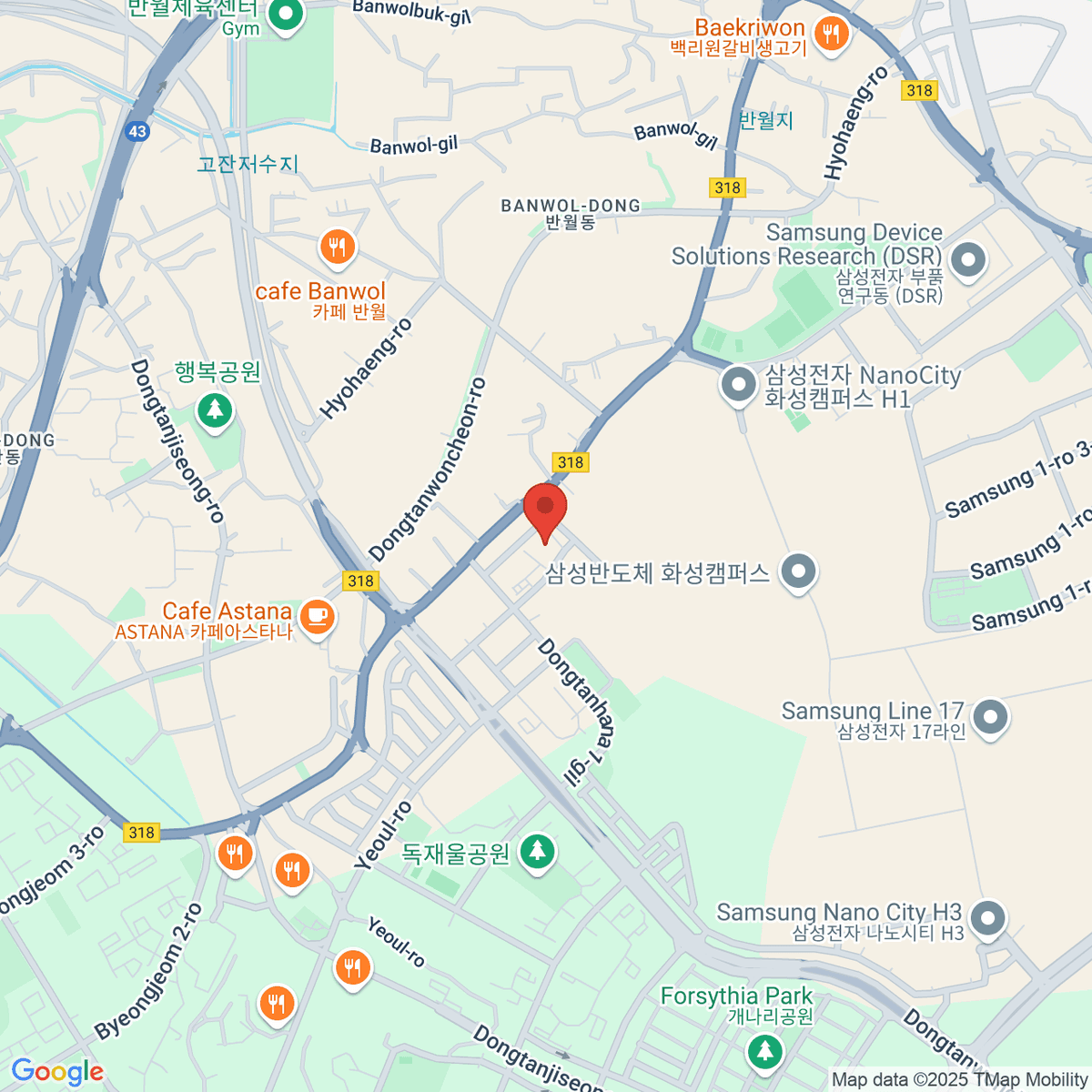 google-map-placeholder-image