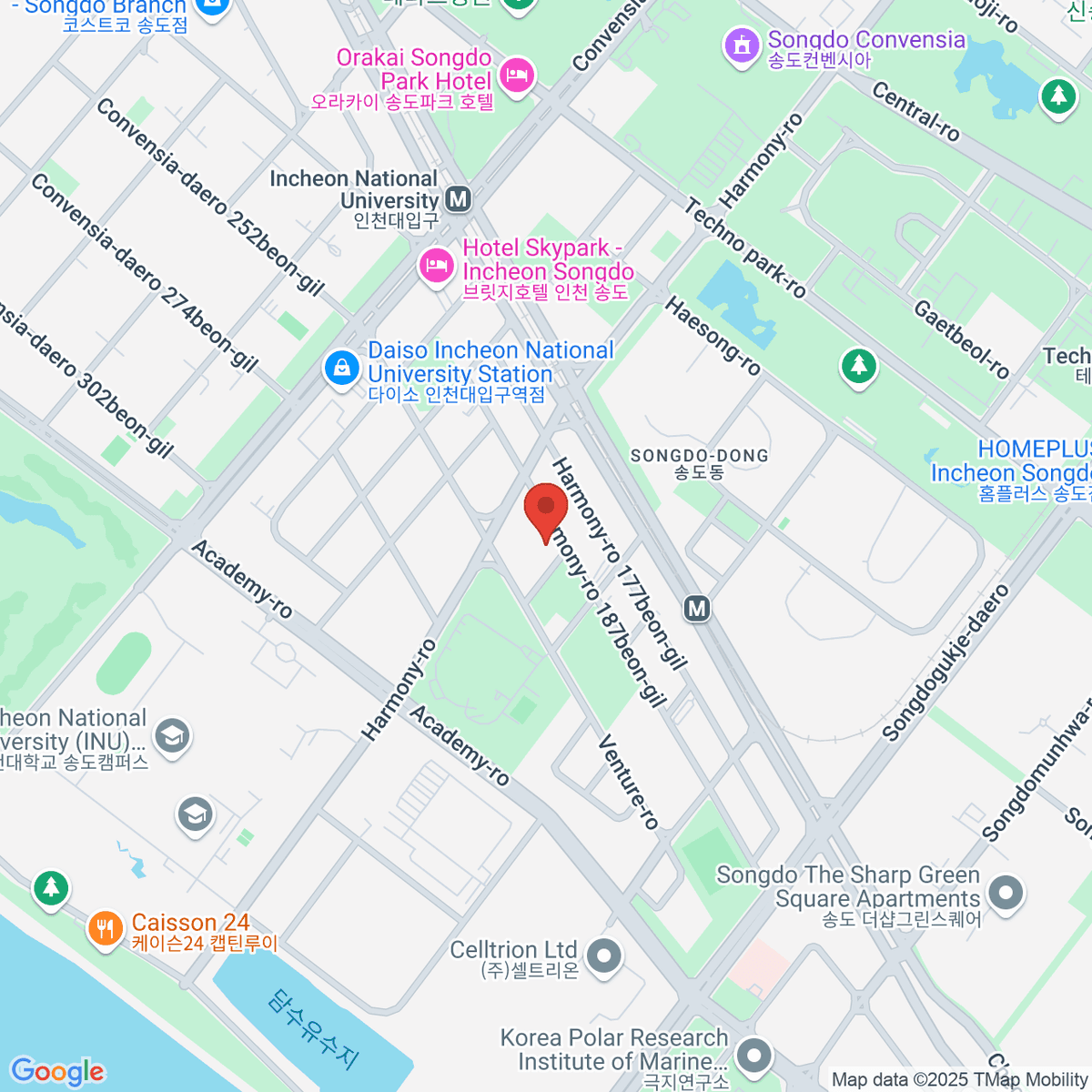 google-map-placeholder-image