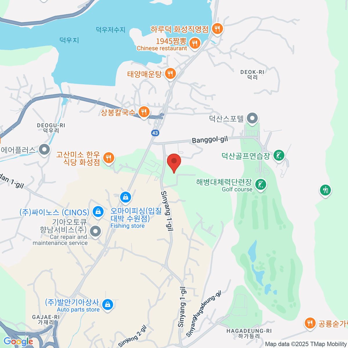 google-map-placeholder-image