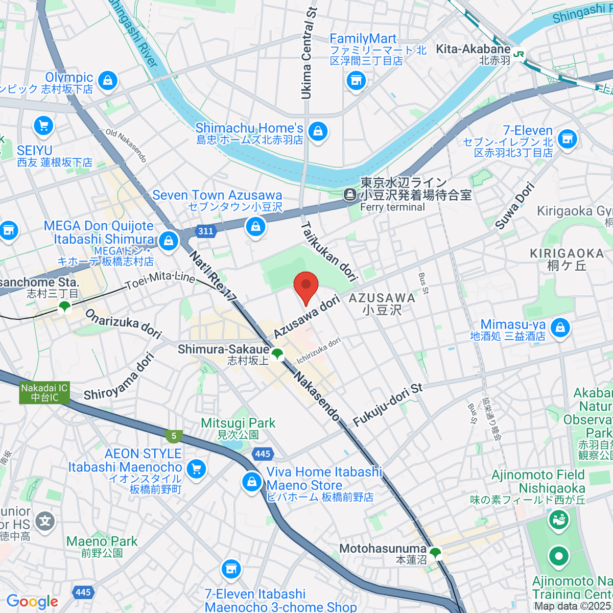 google-map-placeholder-image