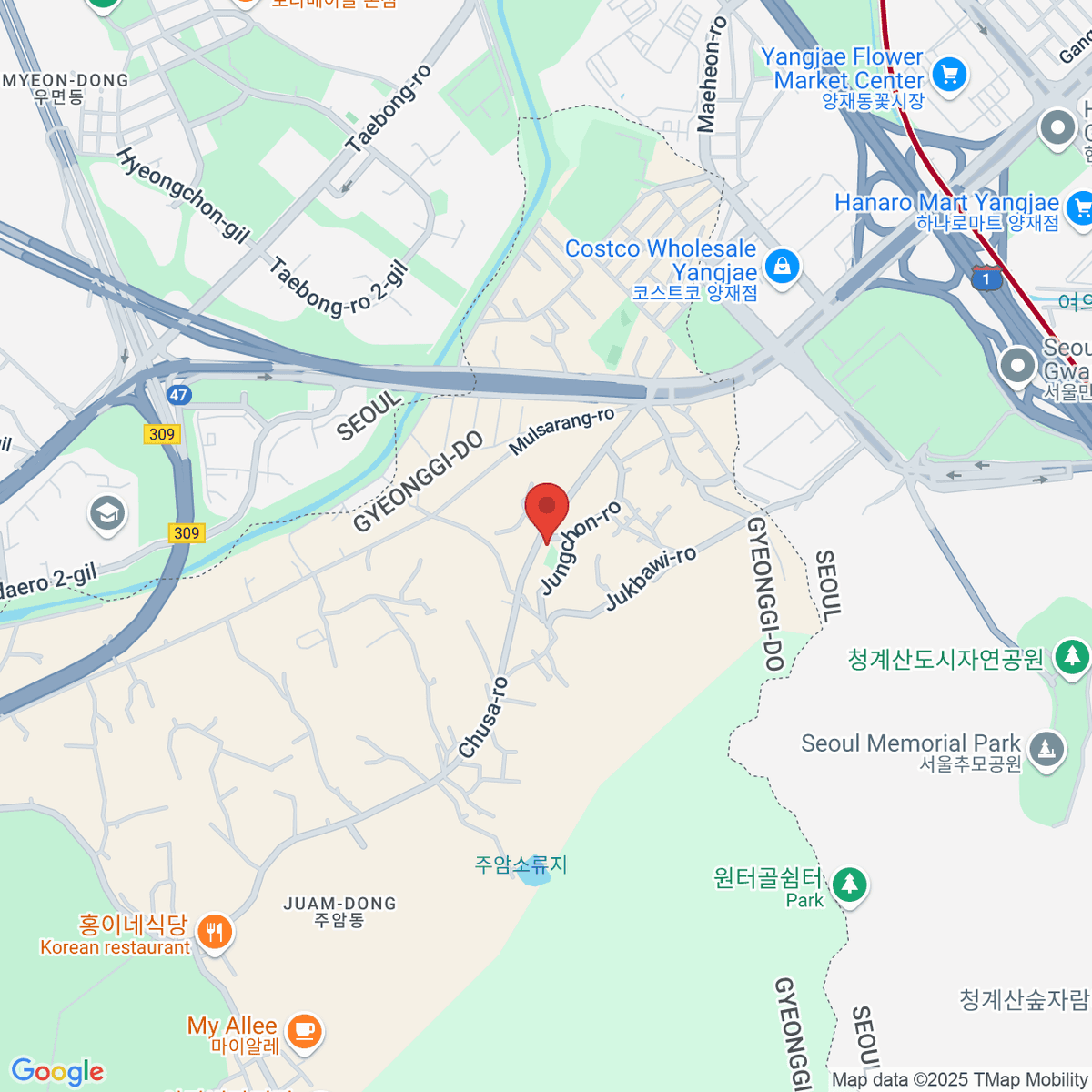 google-map-placeholder-image