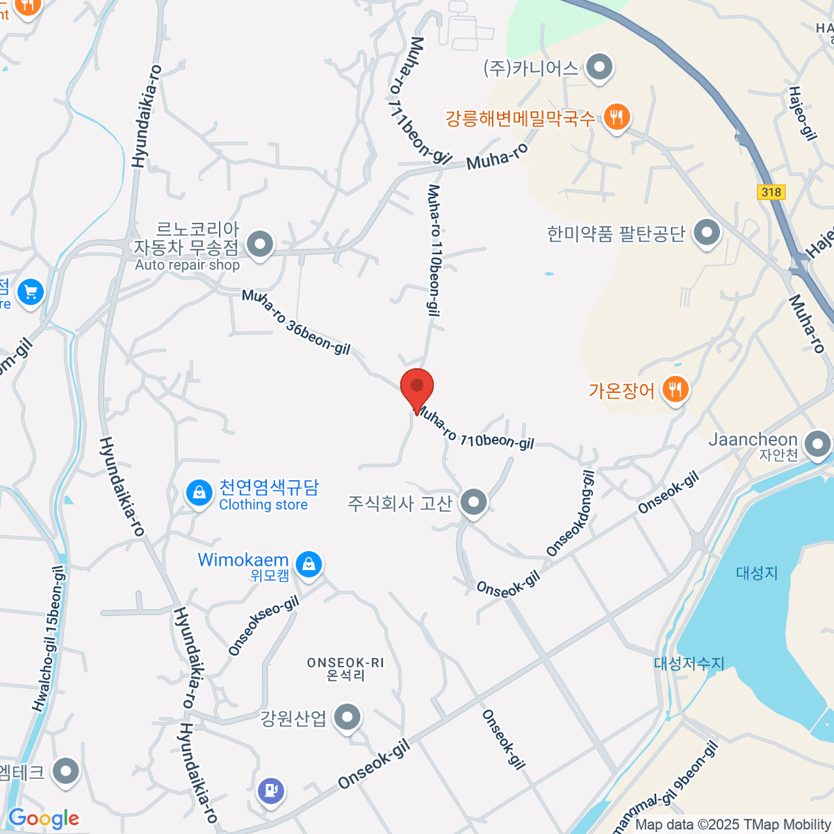 google-map-placeholder-image