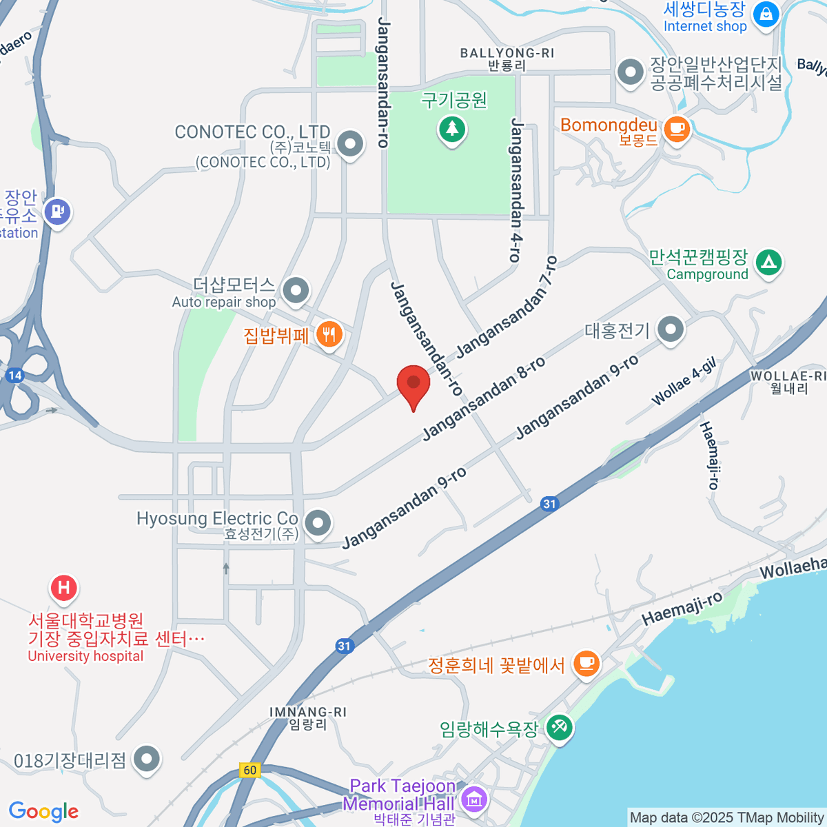 google-map-placeholder-image