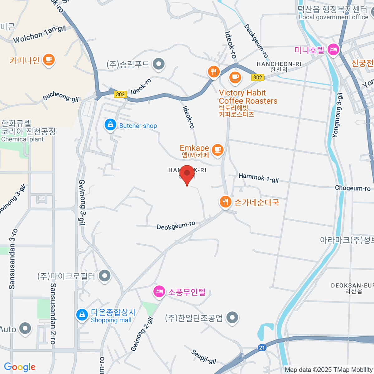 google-map-placeholder-image