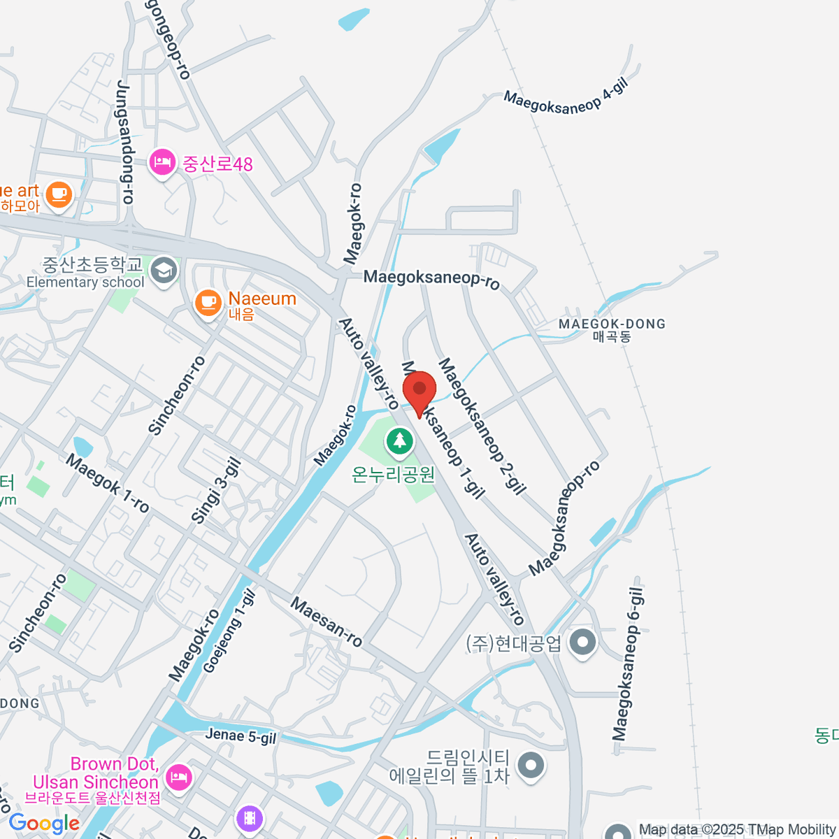 google-map-placeholder-image