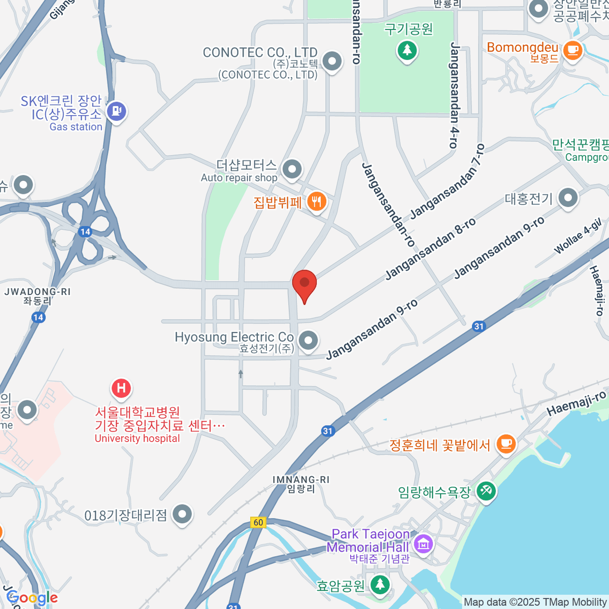 google-map-placeholder-image