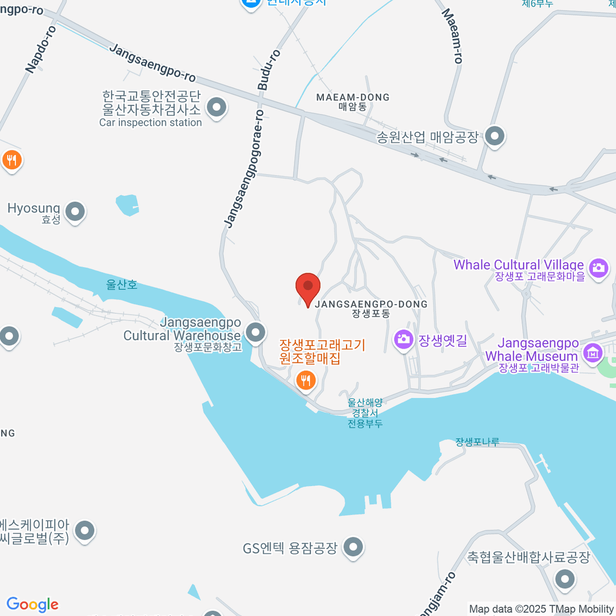 google-map-placeholder-image