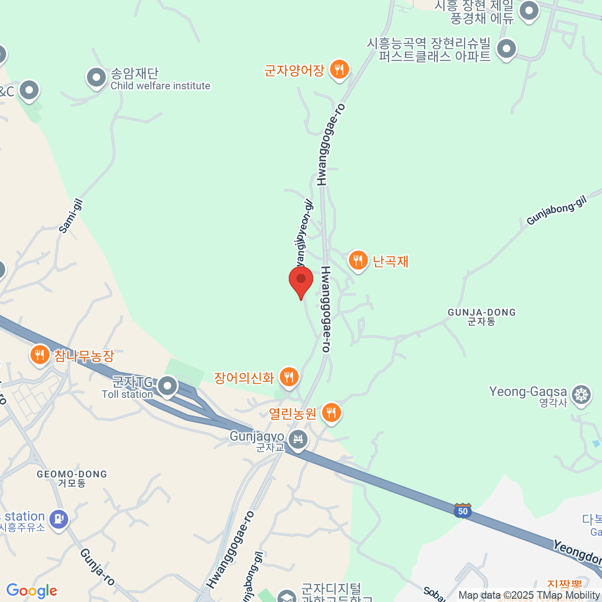 google-map-placeholder-image