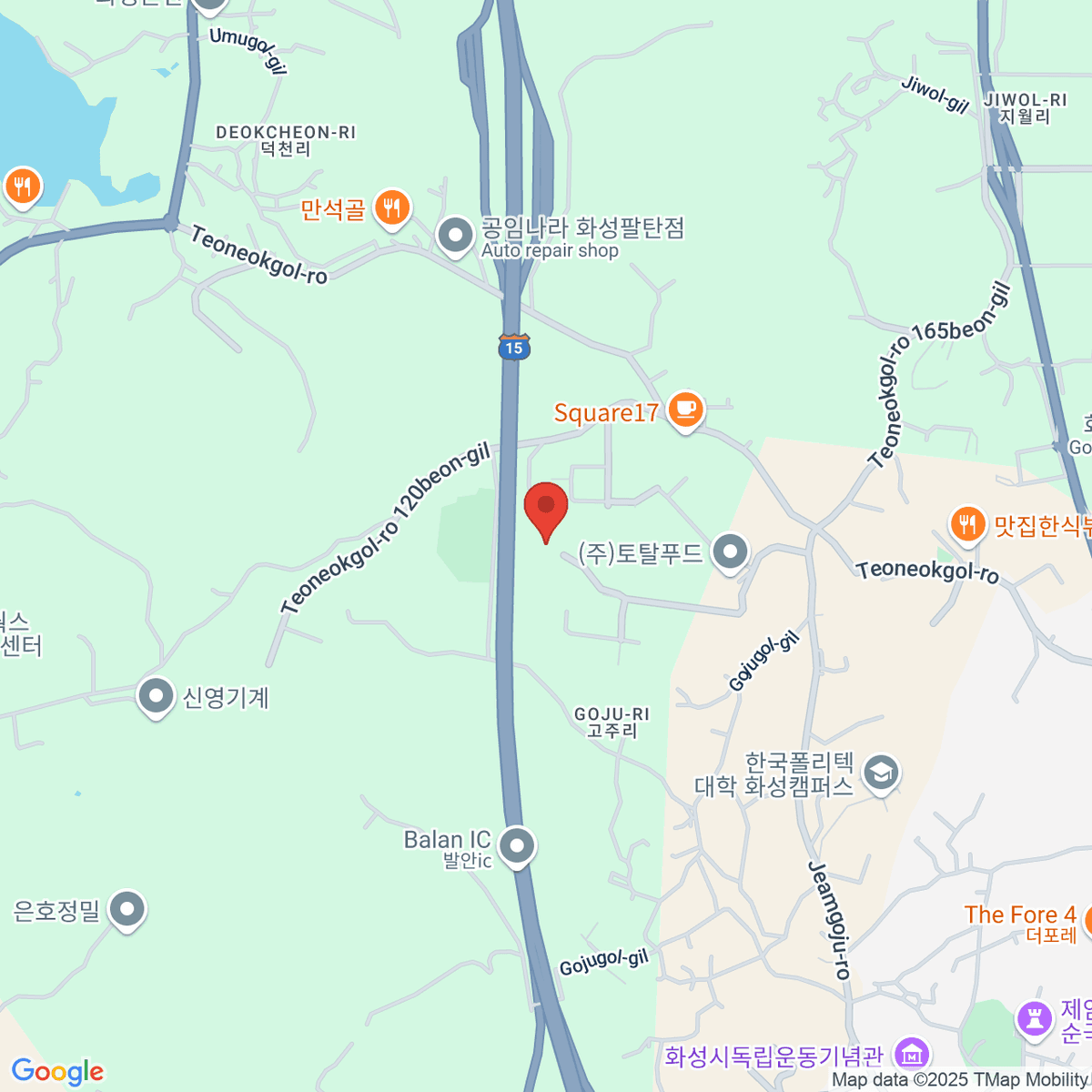 google-map-placeholder-image