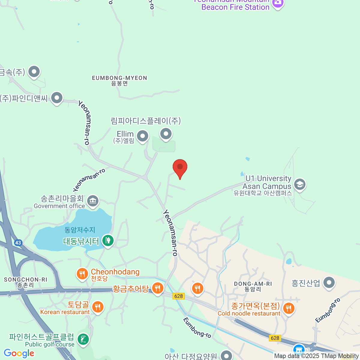 google-map-placeholder-image