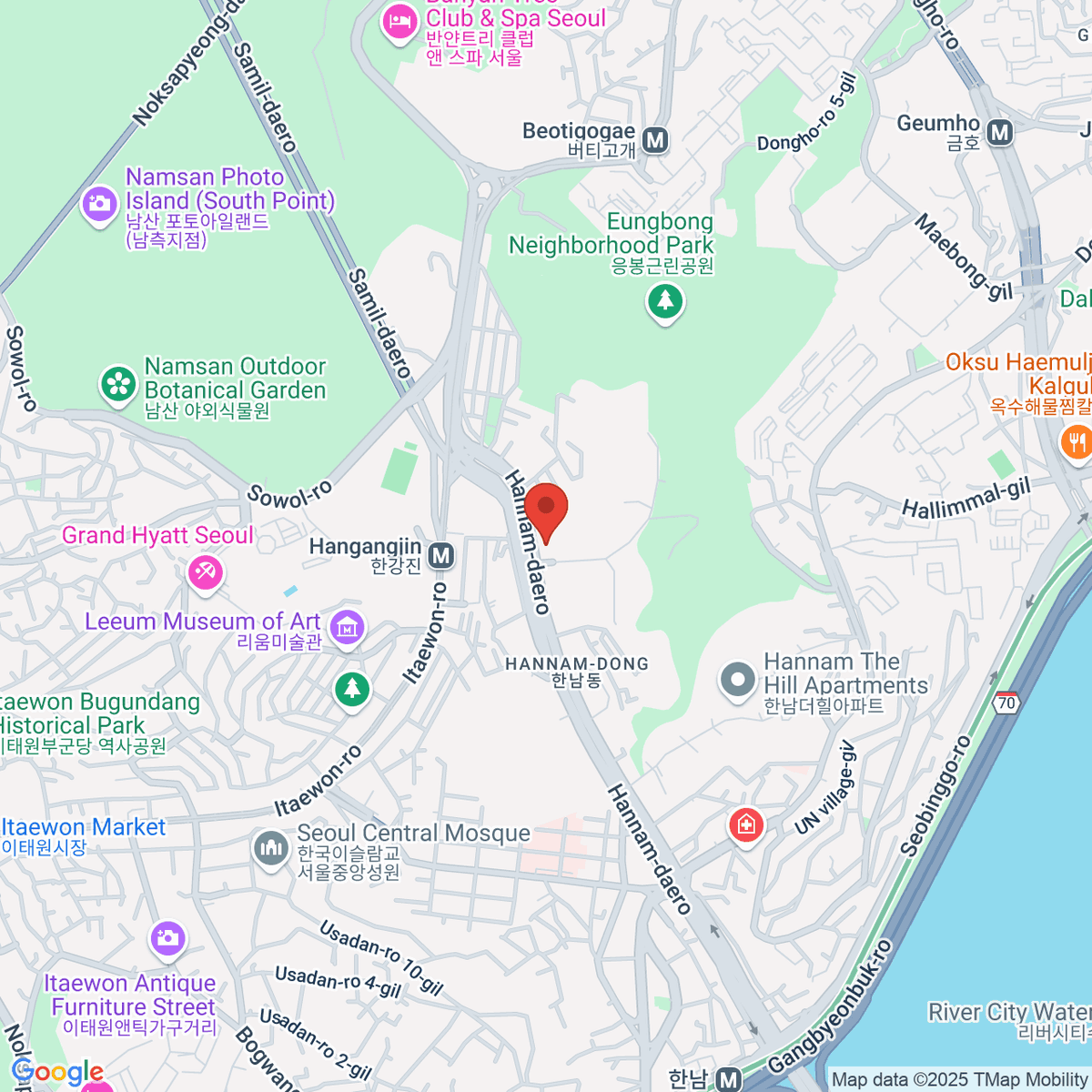 google-map-placeholder-image