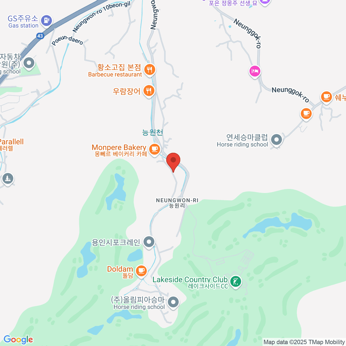 google-map-placeholder-image