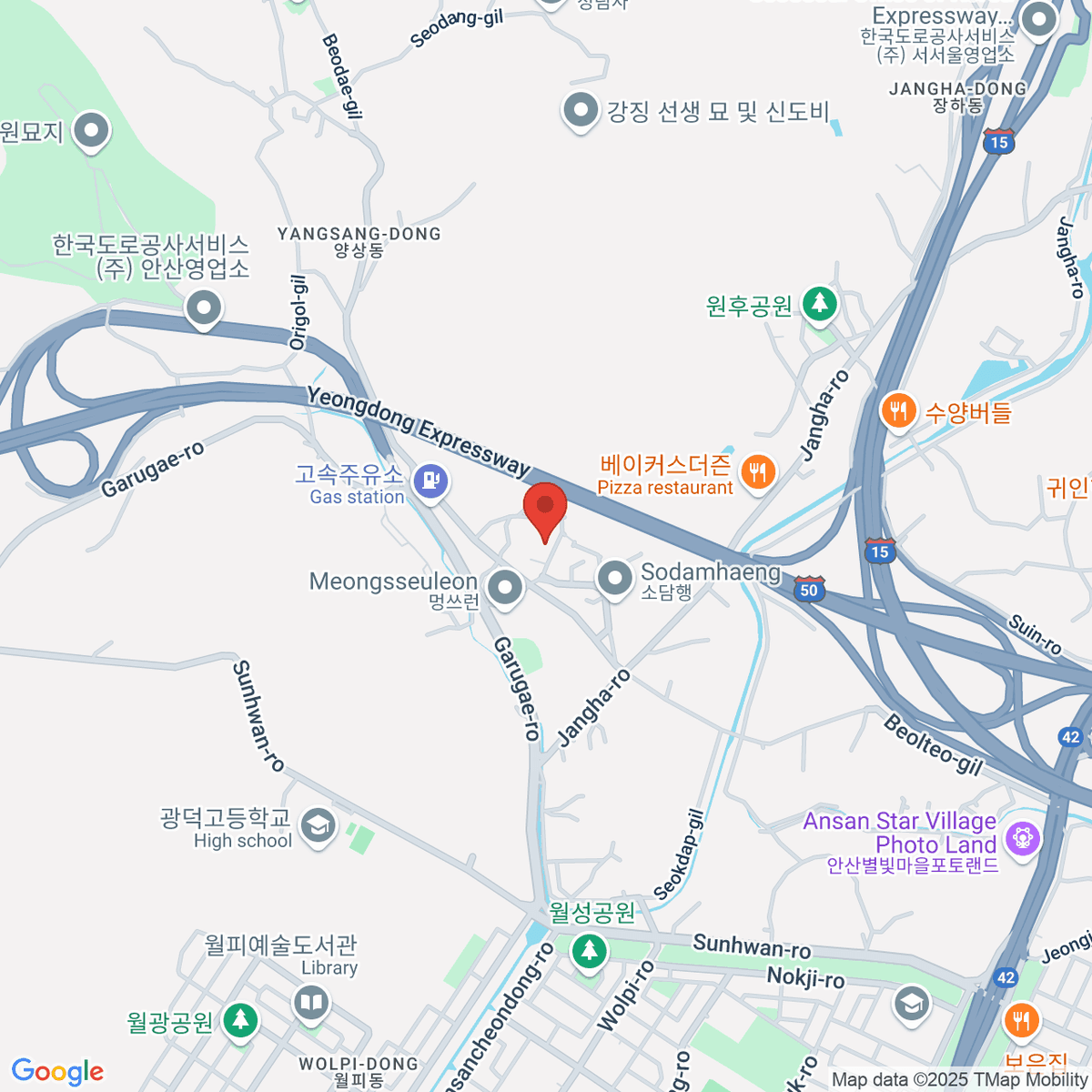 google-map-placeholder-image