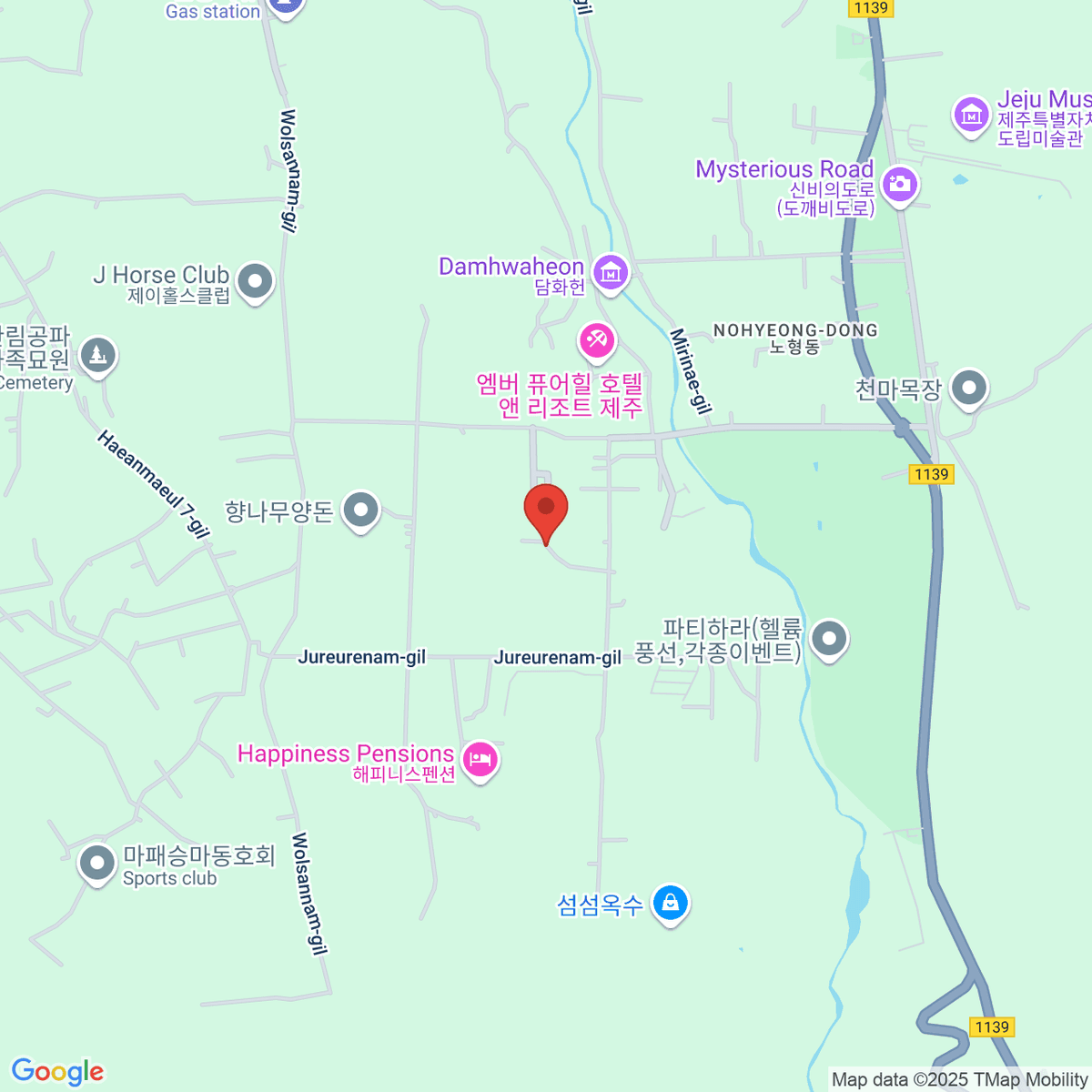 google-map-placeholder-image