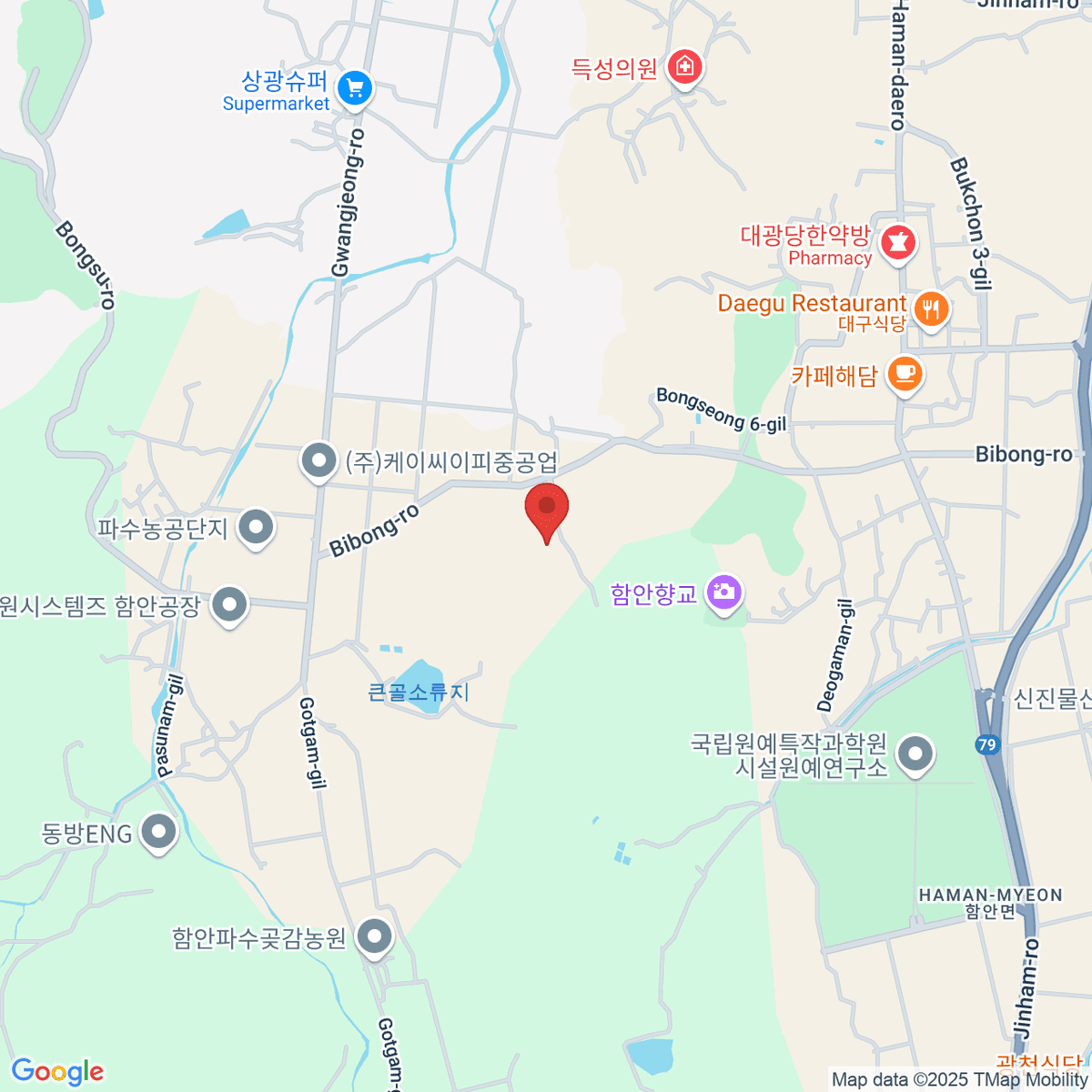 google-map-placeholder-image