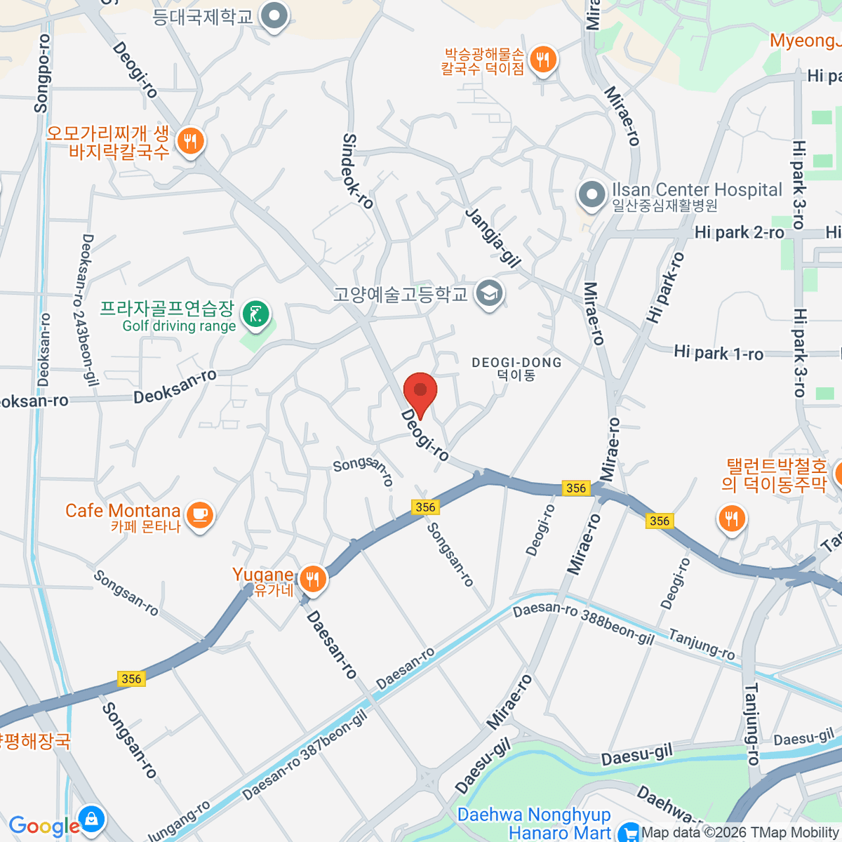 google-map-placeholder-image