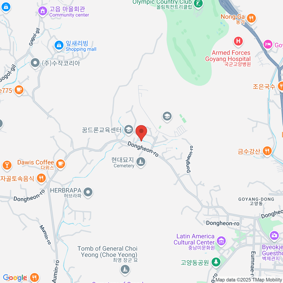 google-map-placeholder-image