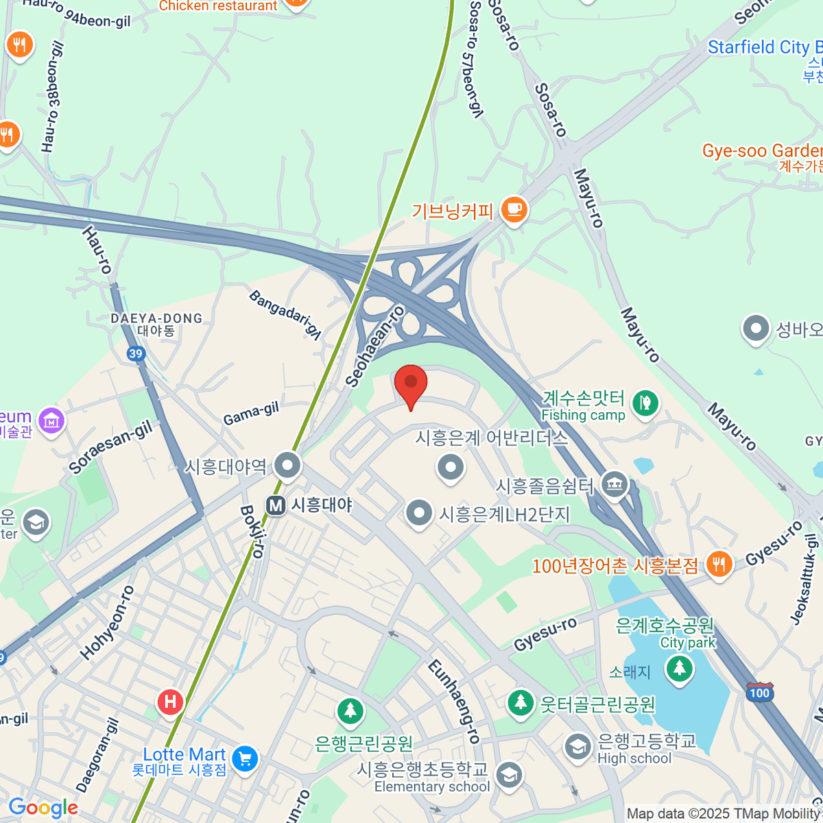 google-map-placeholder-image