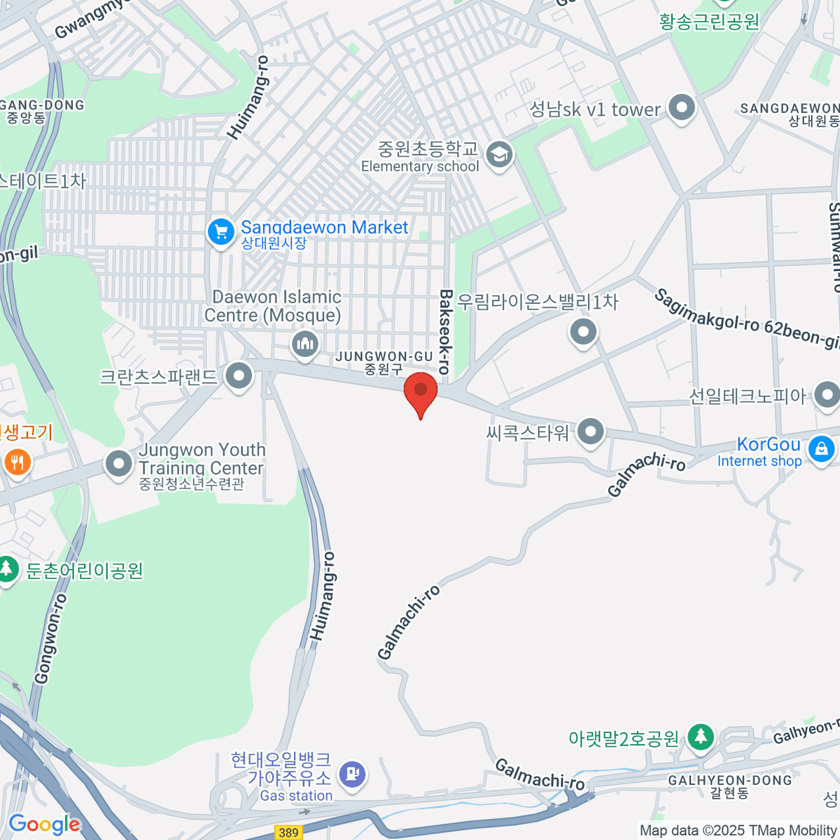 google-map-placeholder-image