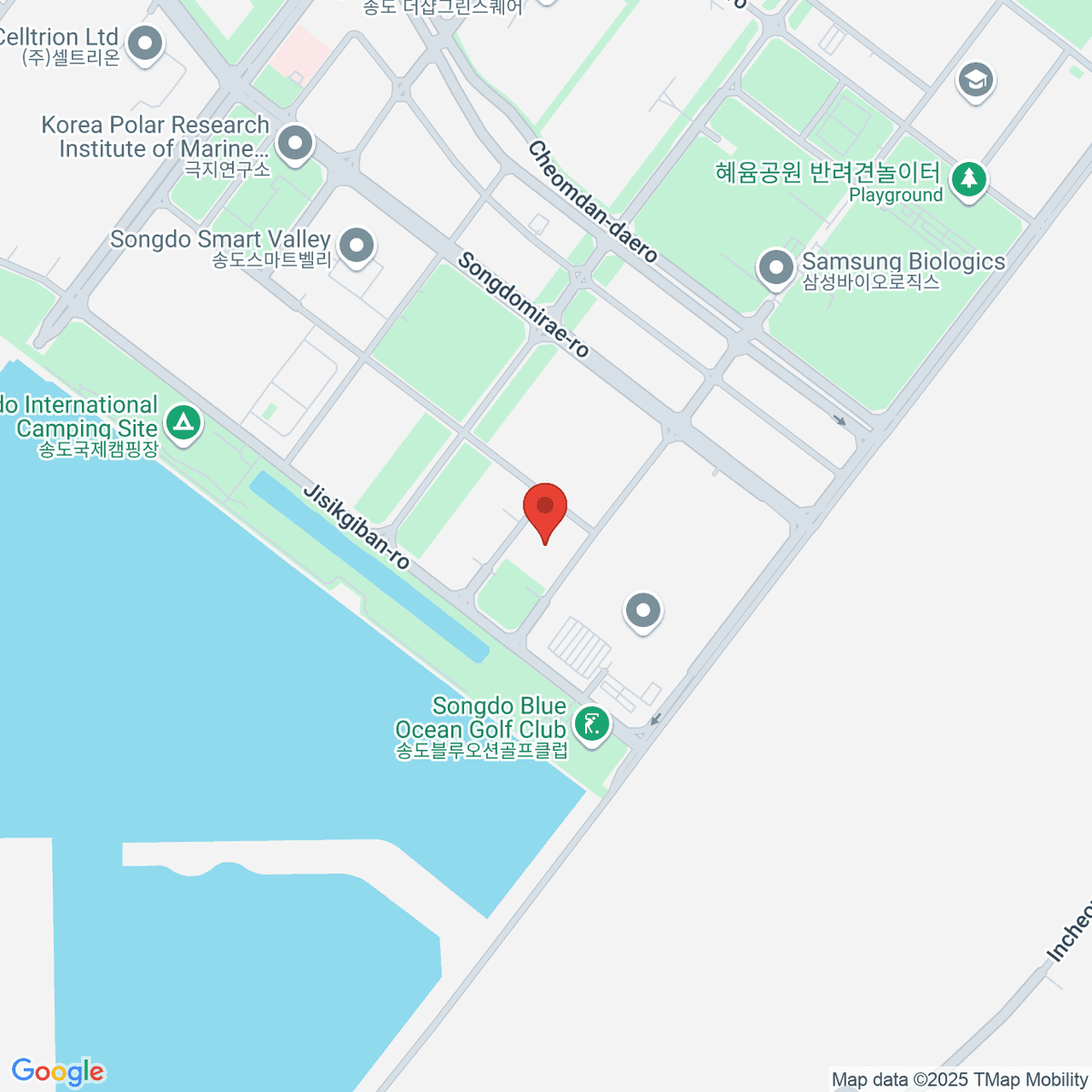 google-map-placeholder-image
