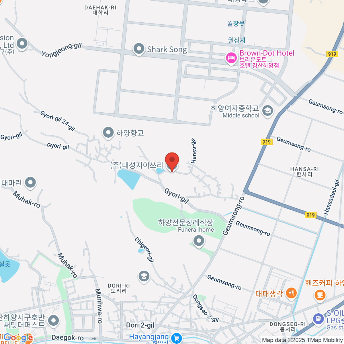 google-map-placeholder-image