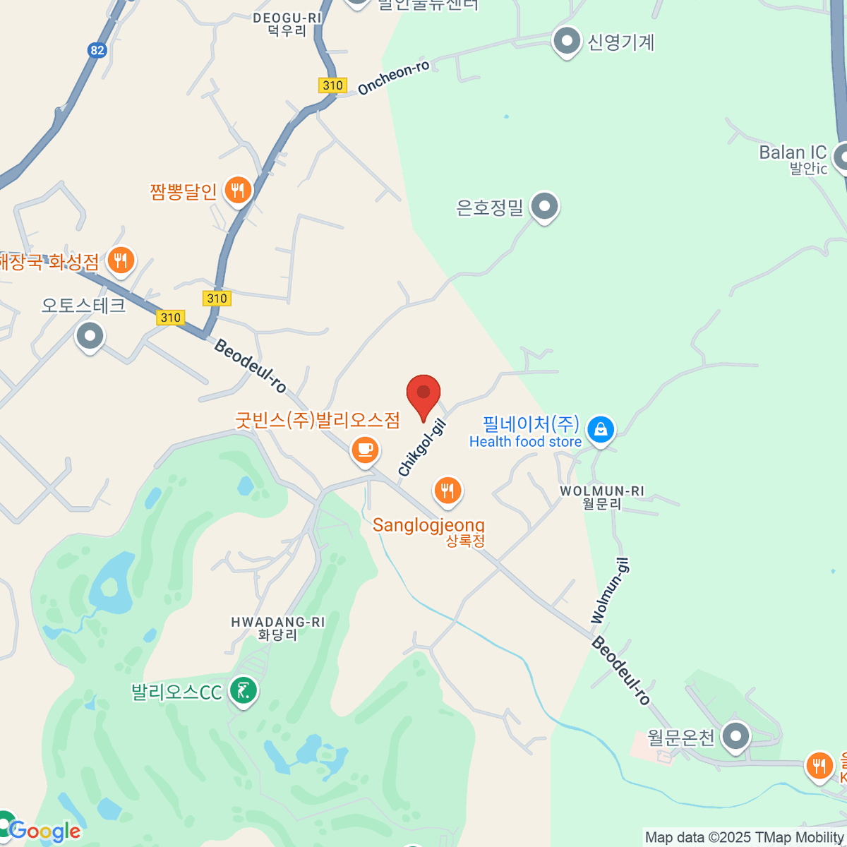 google-map-placeholder-image