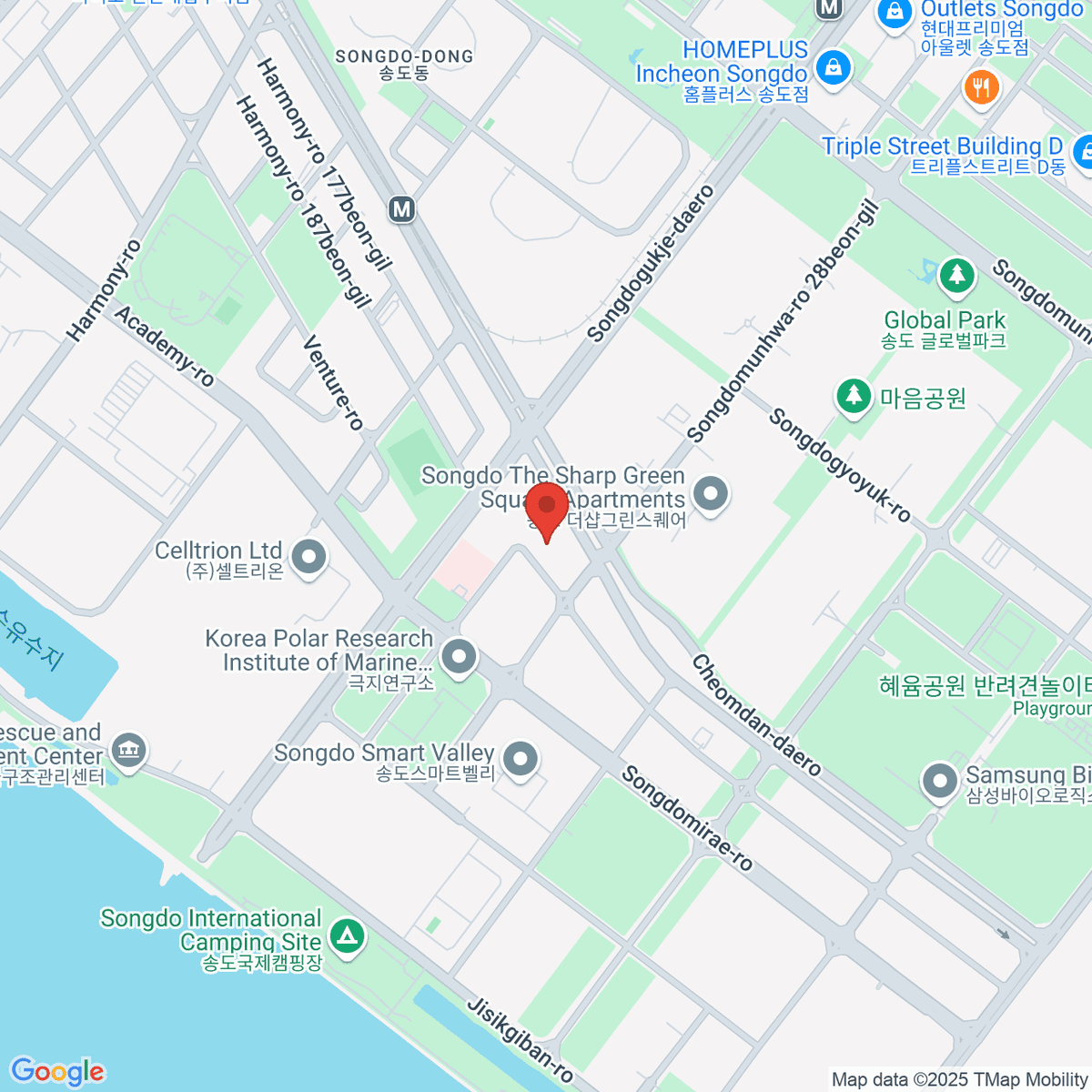 google-map-placeholder-image