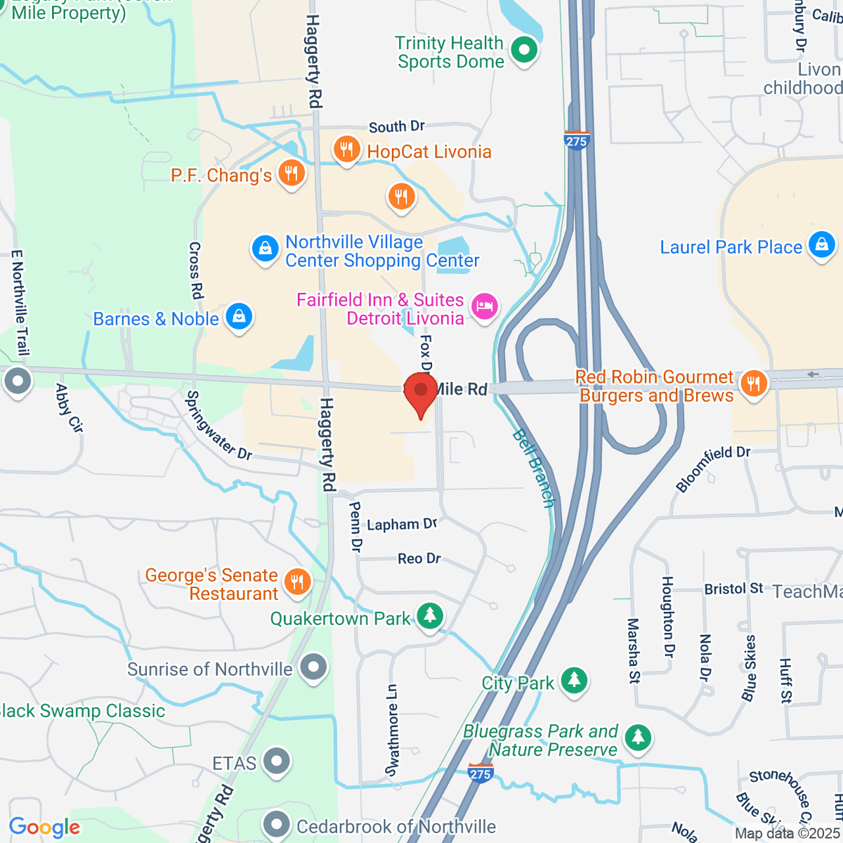 google-map-placeholder-image