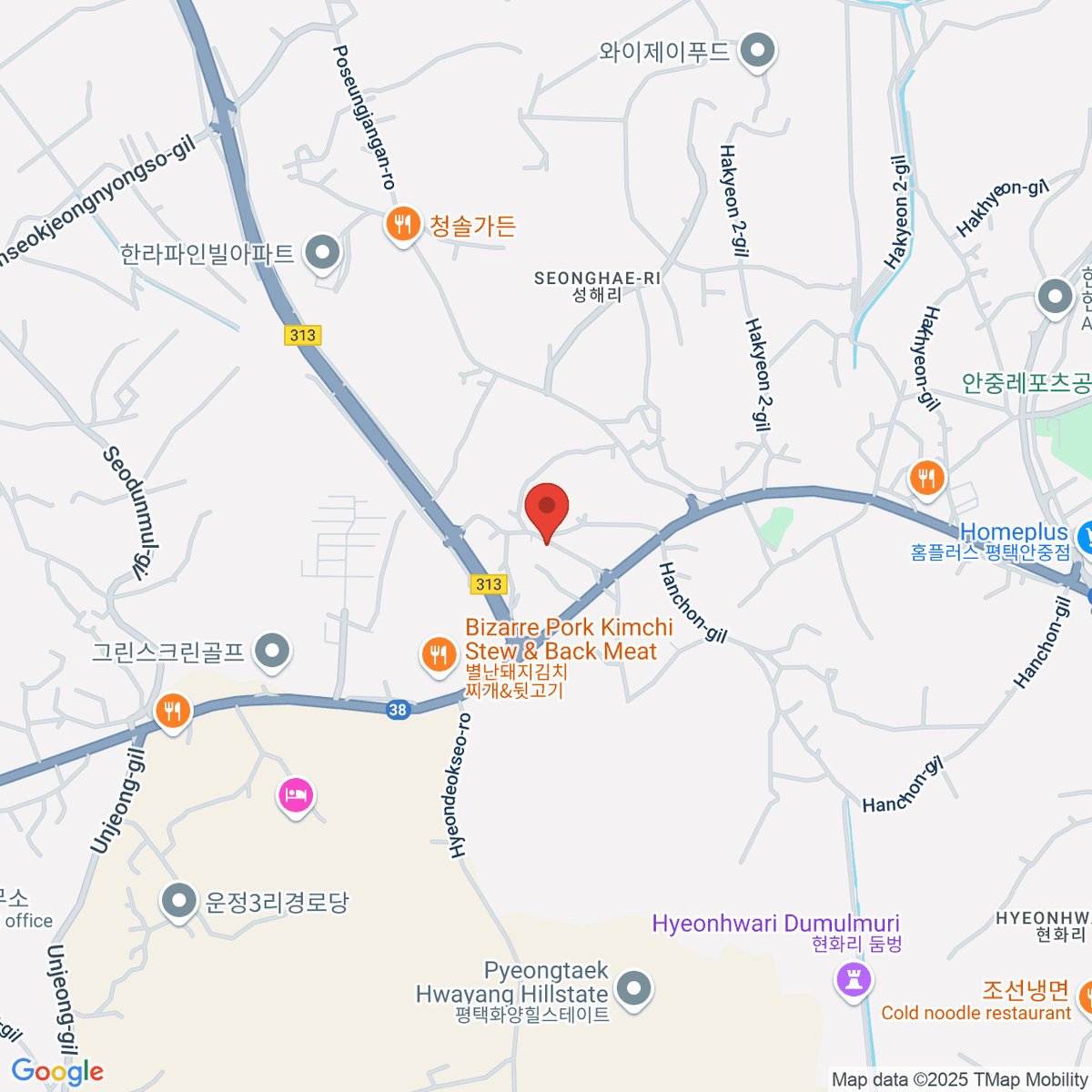 google-map-placeholder-image