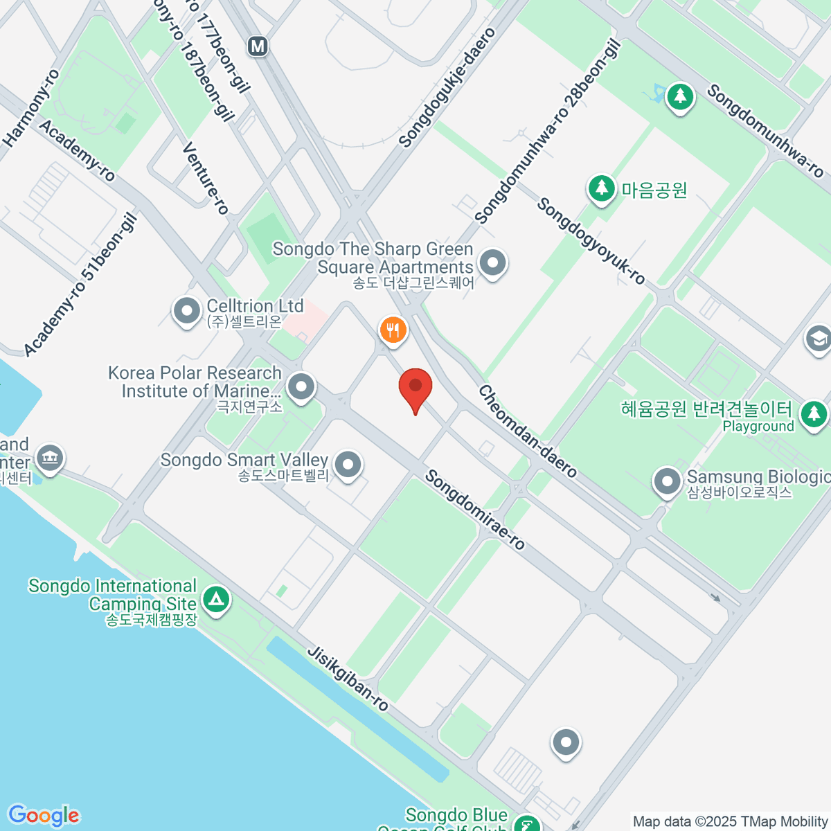 google-map-placeholder-image
