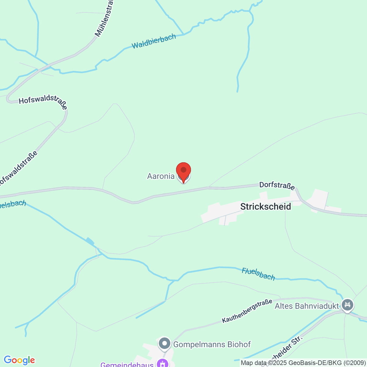 google-map-placeholder-image