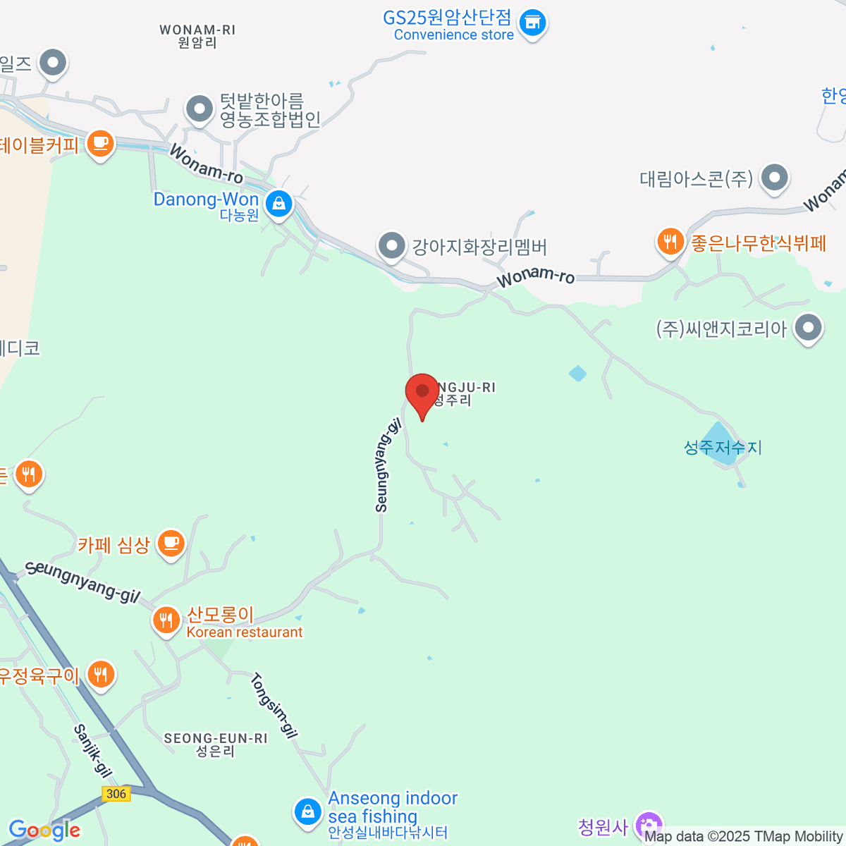 google-map-placeholder-image