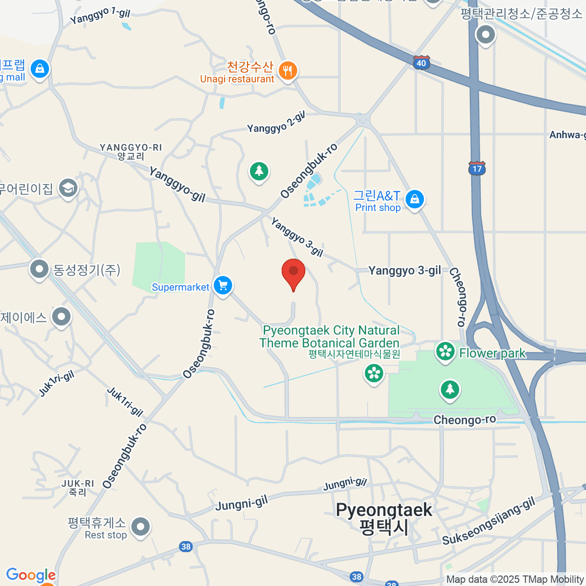 google-map-placeholder-image