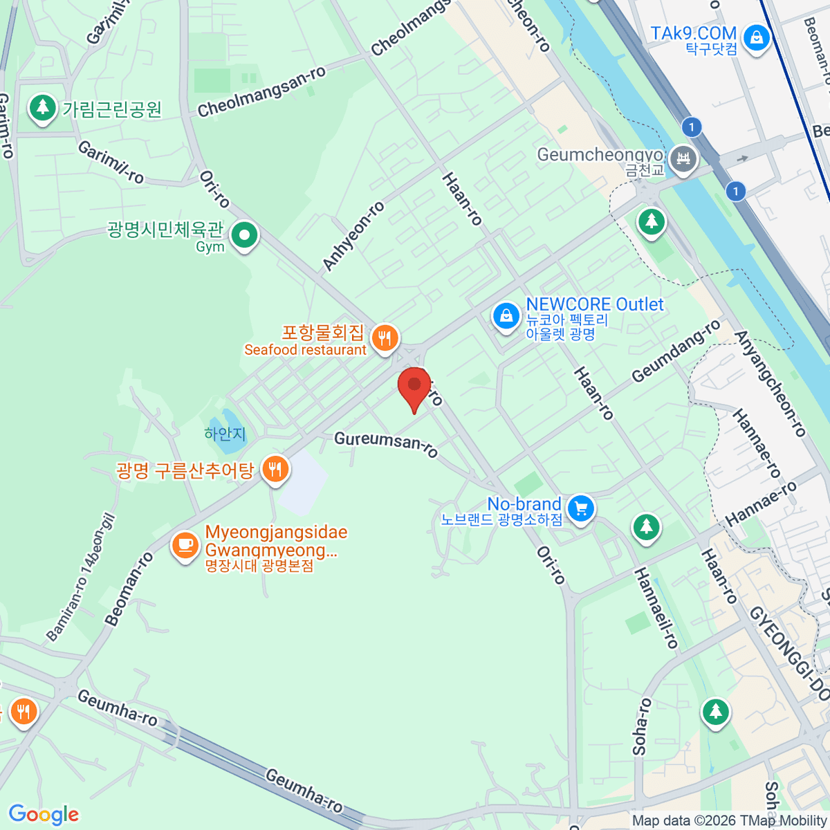 google-map-placeholder-image