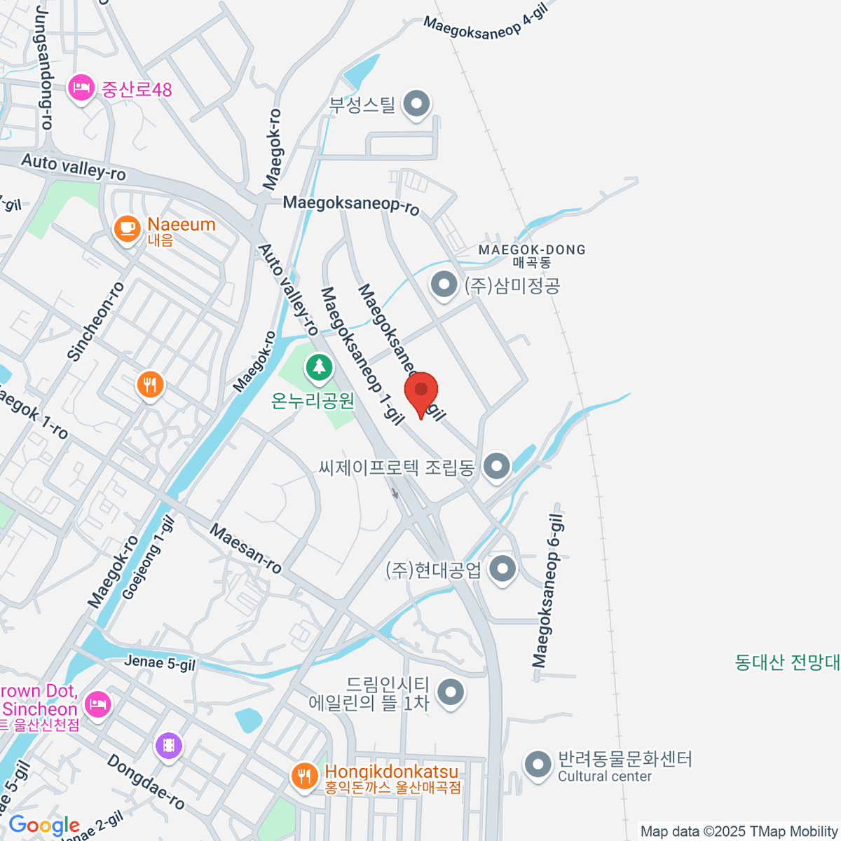 google-map-placeholder-image