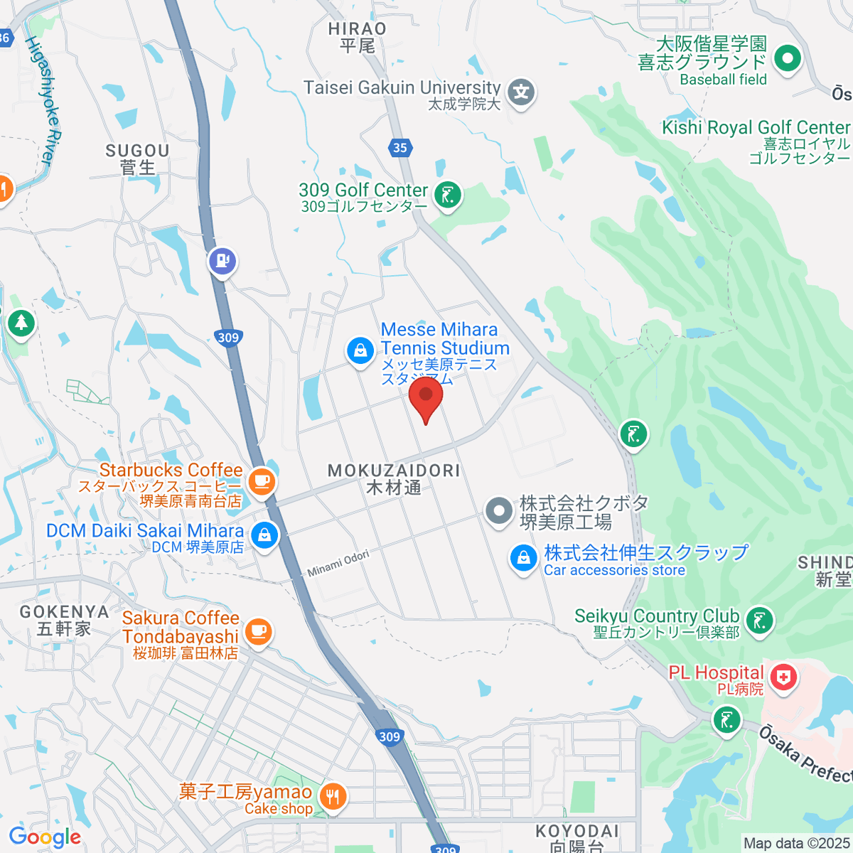 google-map-placeholder-image