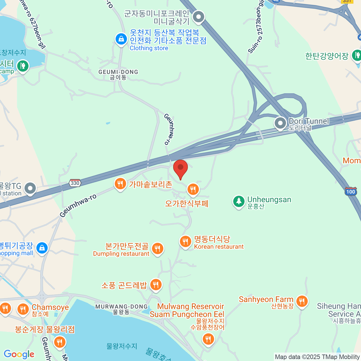 google-map-placeholder-image