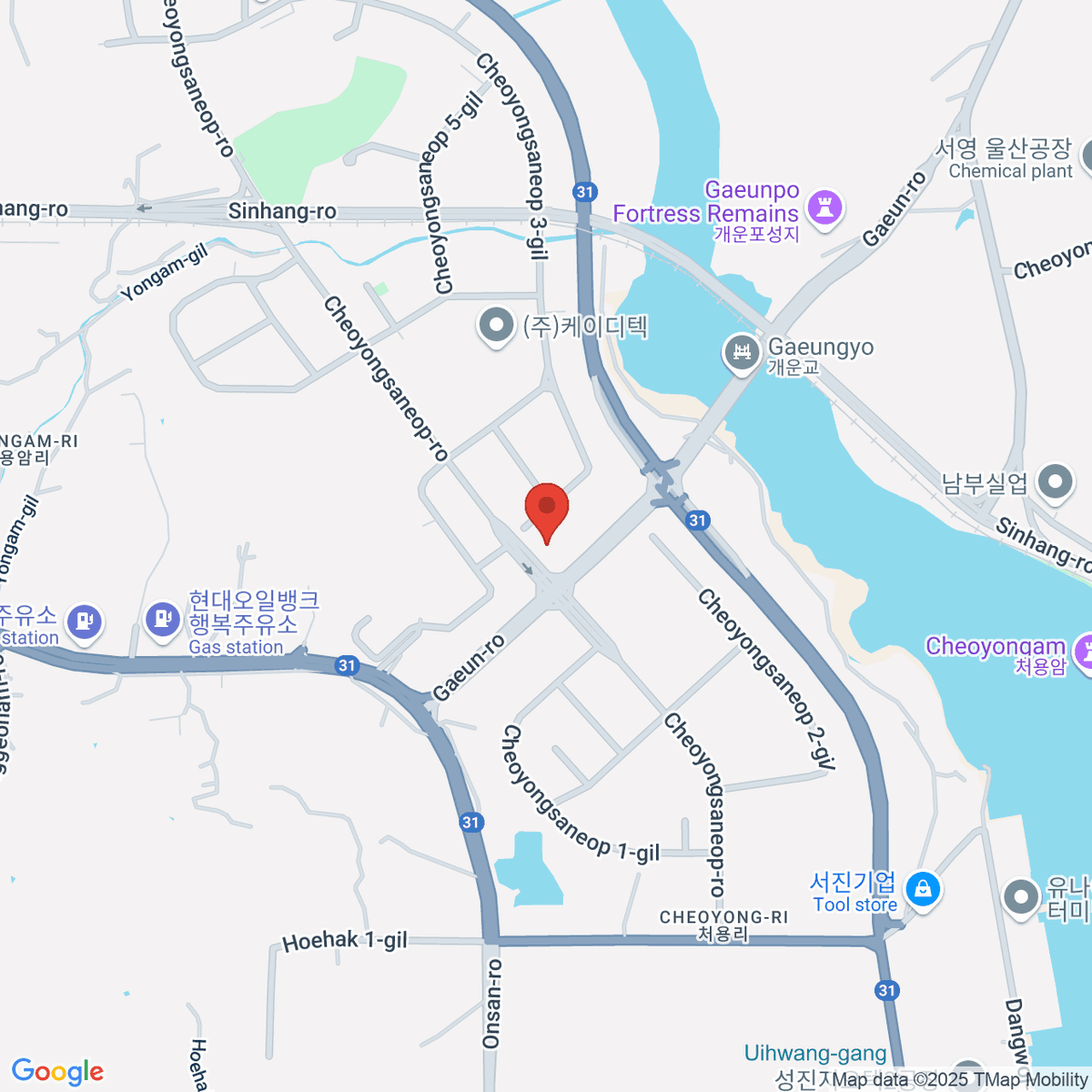 google-map-placeholder-image