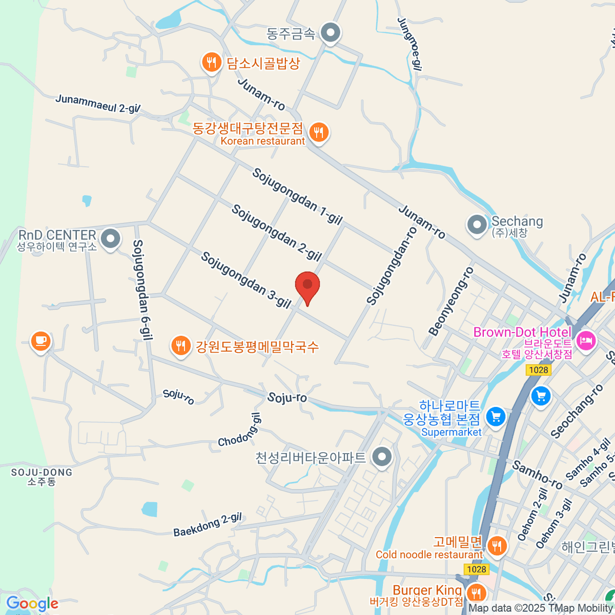 google-map-placeholder-image