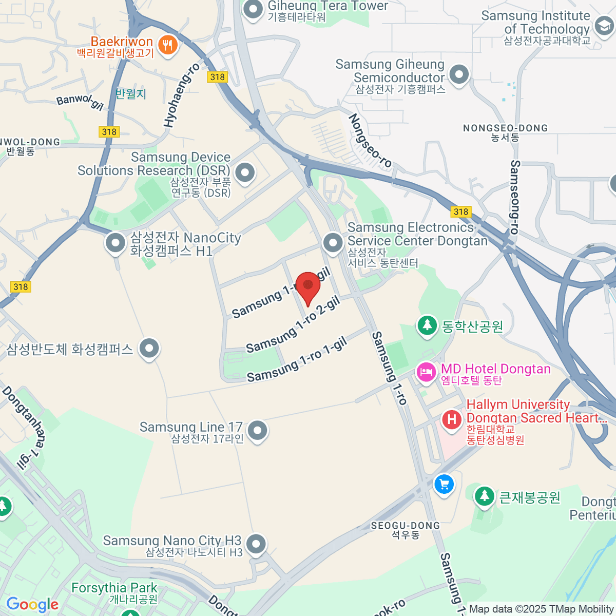 google-map-placeholder-image
