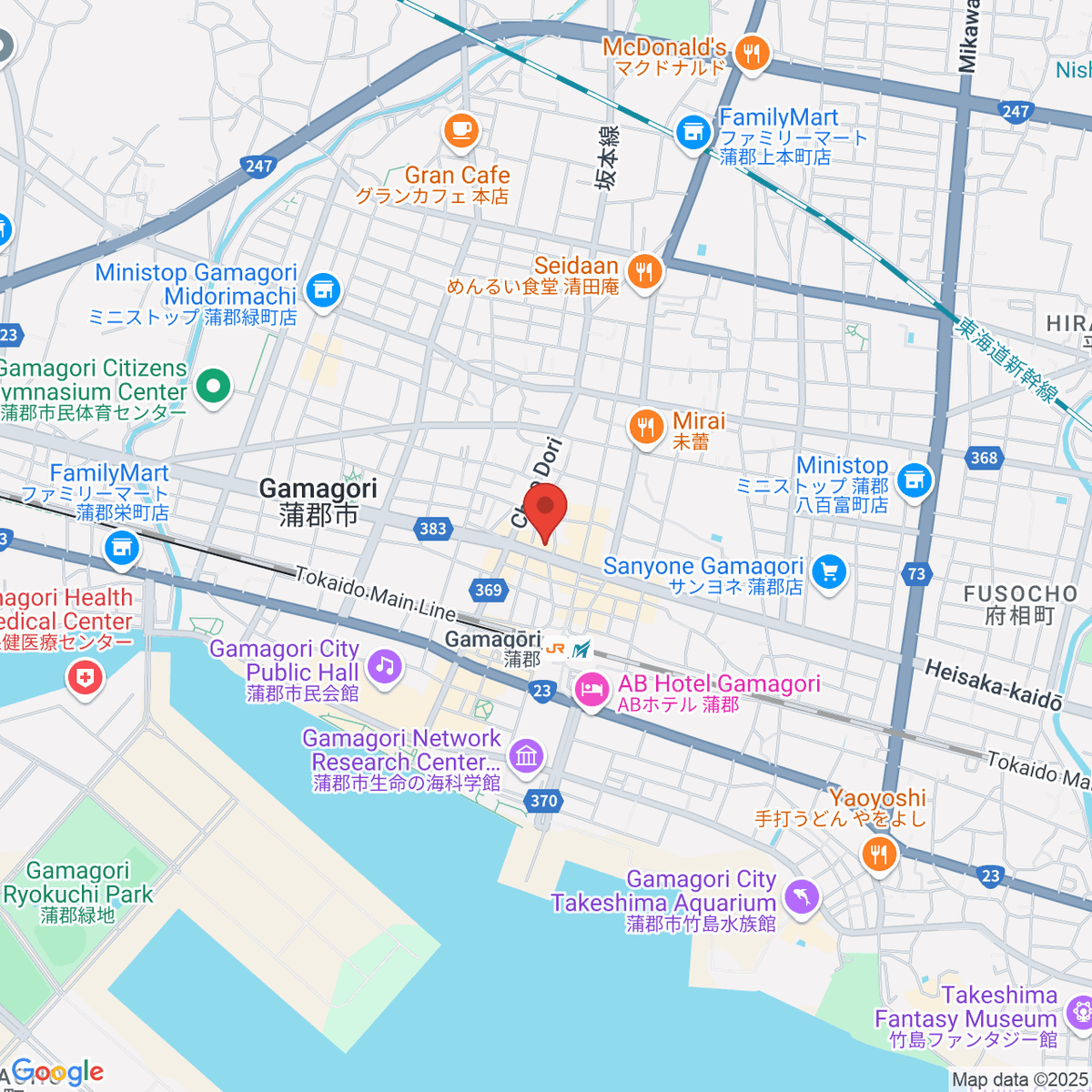 google-map-placeholder-image