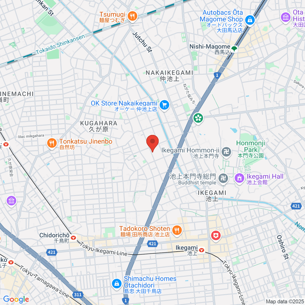 google-map-placeholder-image