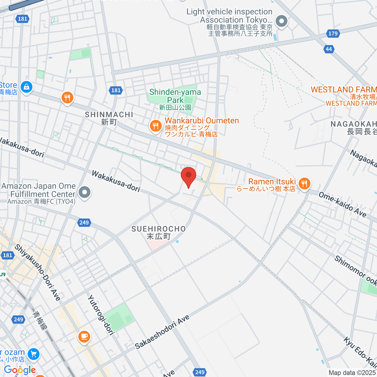 google-map-placeholder-image