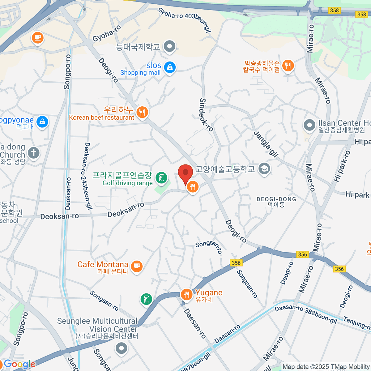 google-map-placeholder-image